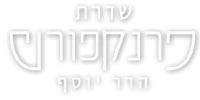 לוגו פרויקט Frankfurt